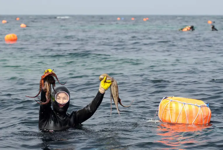 Mujeres Haenyeo de Jeju practicando buceo en apnea tradicional en el mar.